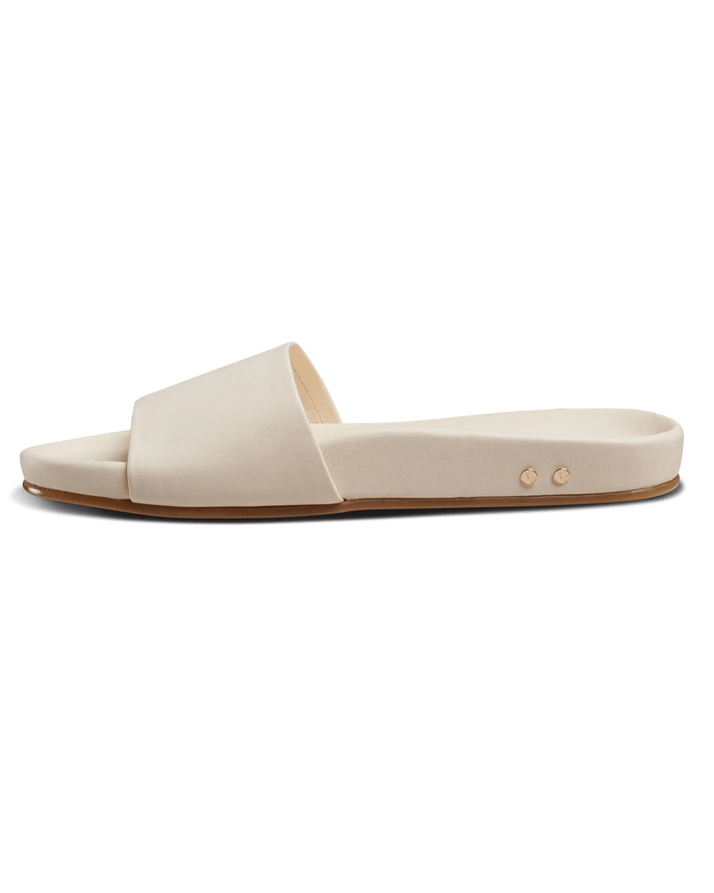 Gallito in Eggshell