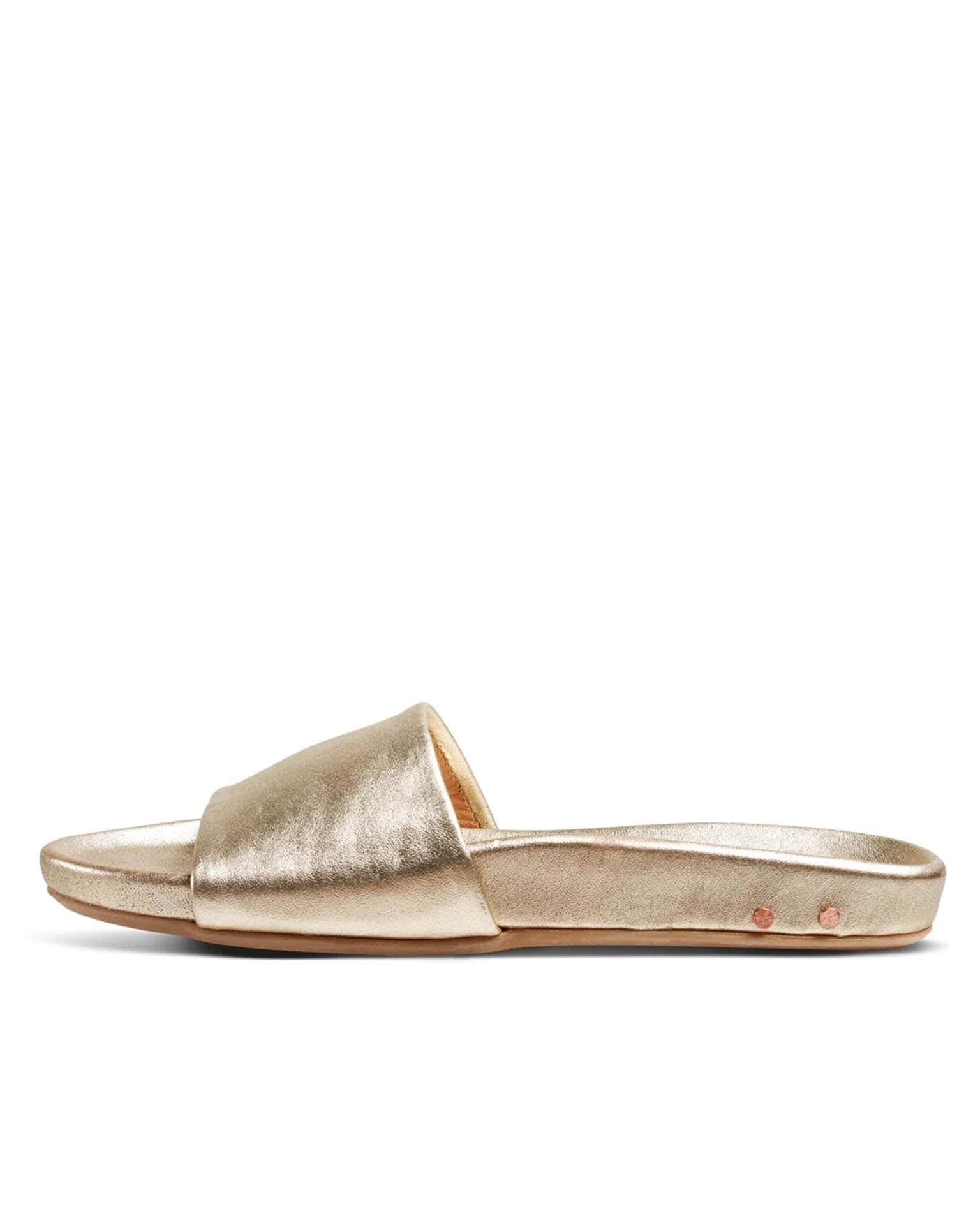 Gallito in Platinum