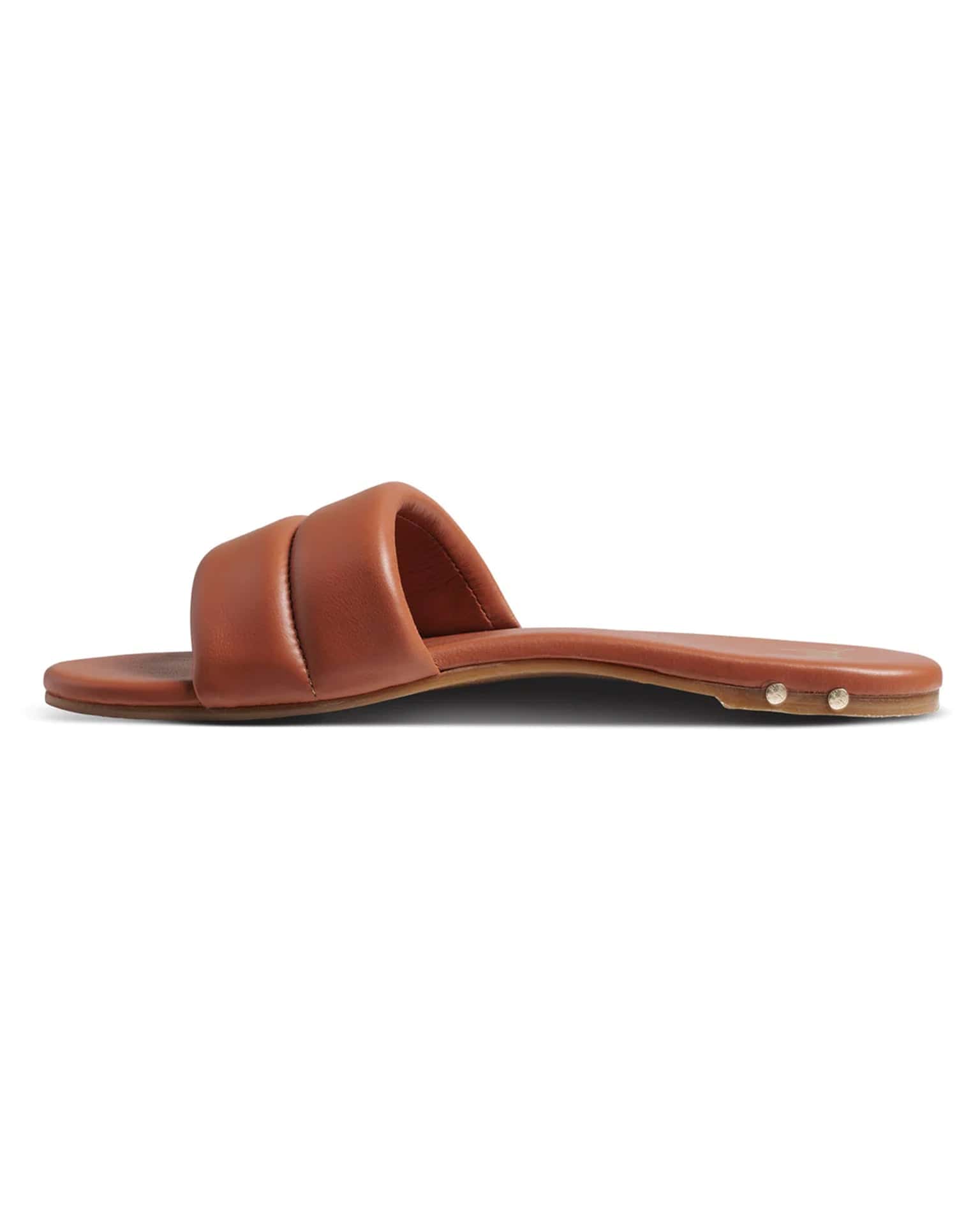 Sugarbird in Tan