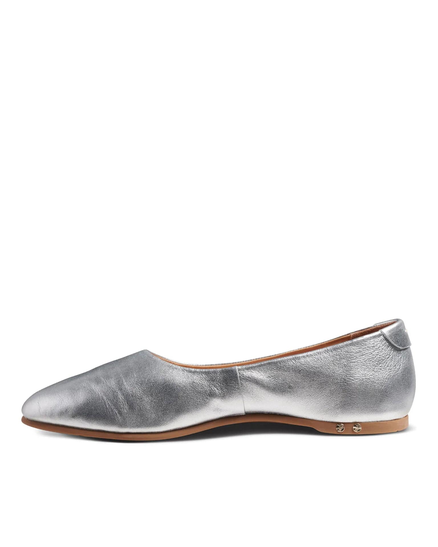 Swiftlet in Silver