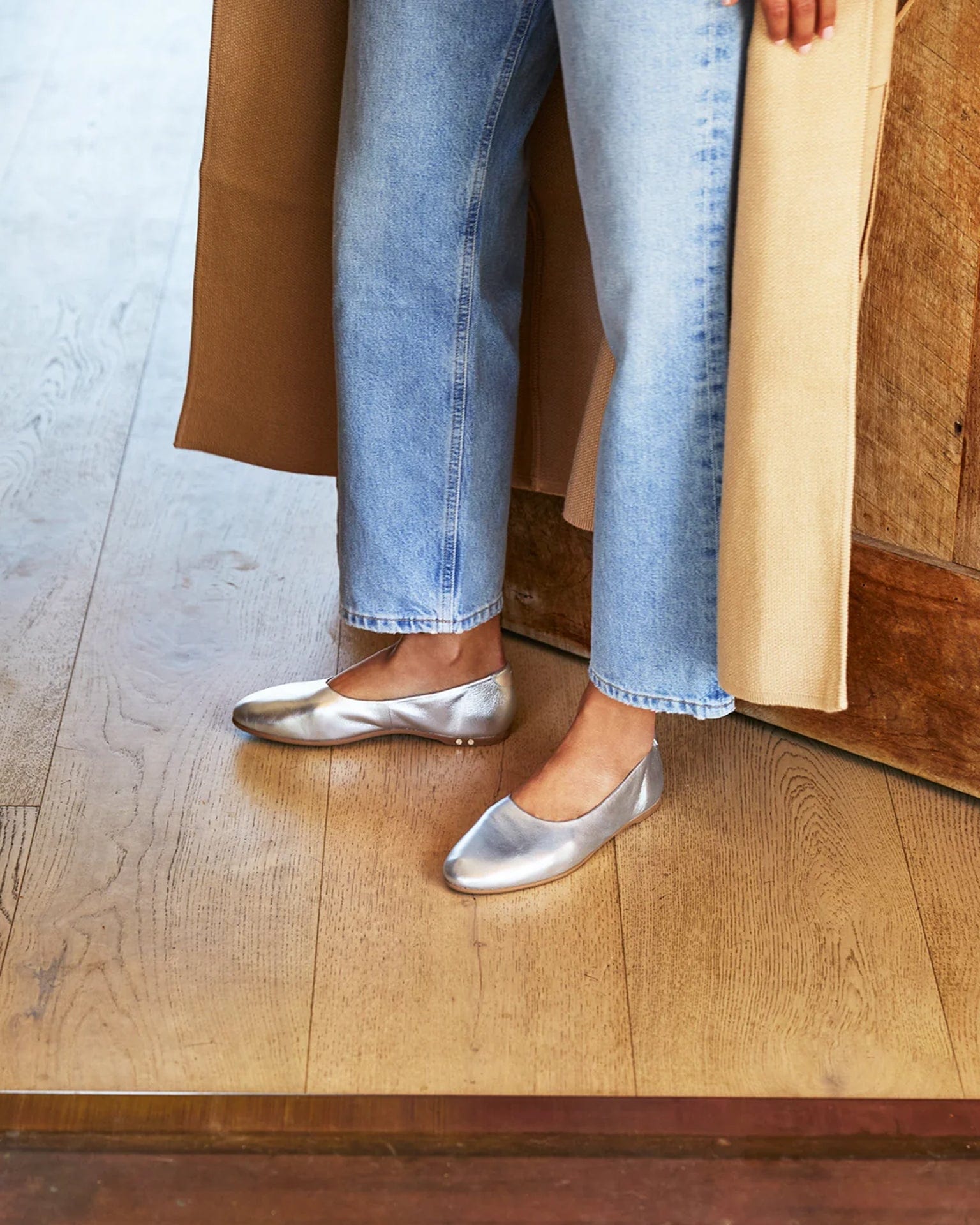 Swiftlet in Silver