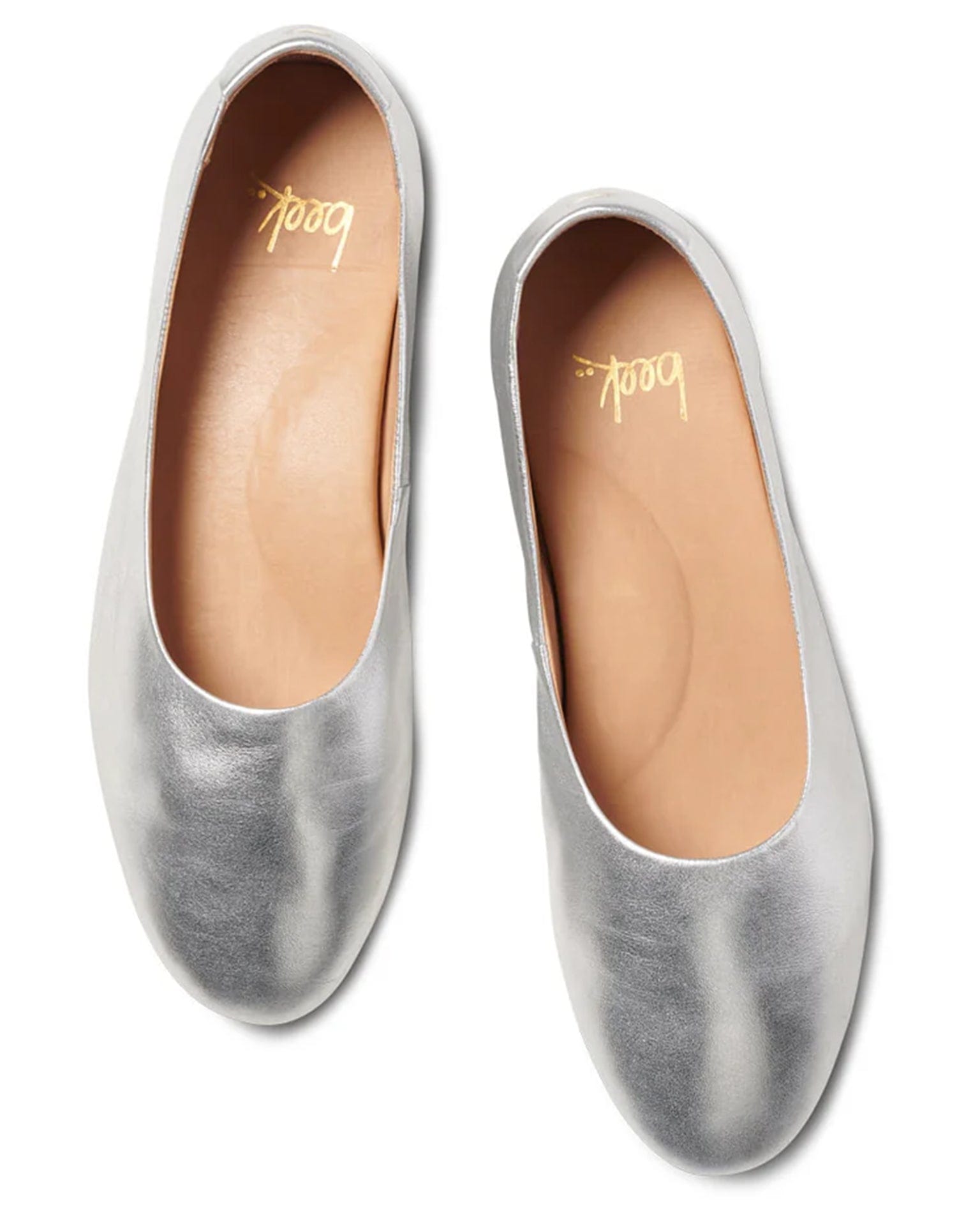 Swiftlet in Silver