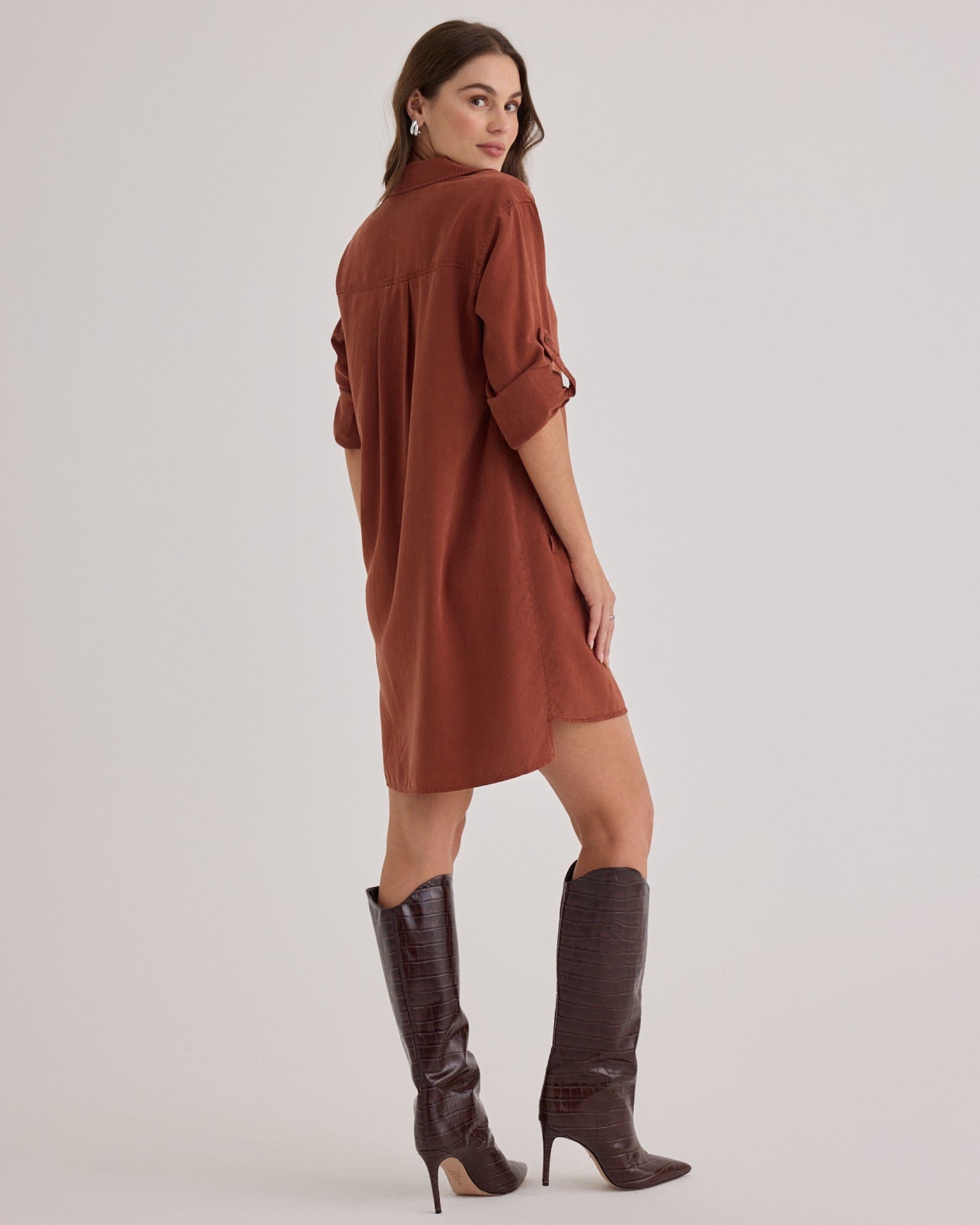 Long Sleeve A Line Dress in Autumn Amber