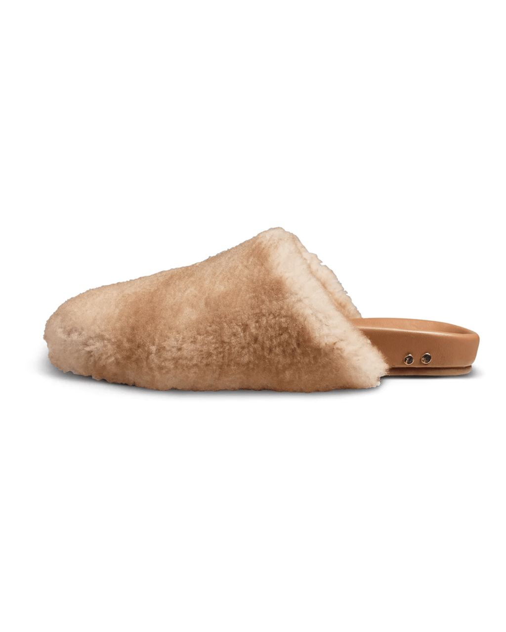 Flufftail in Honey