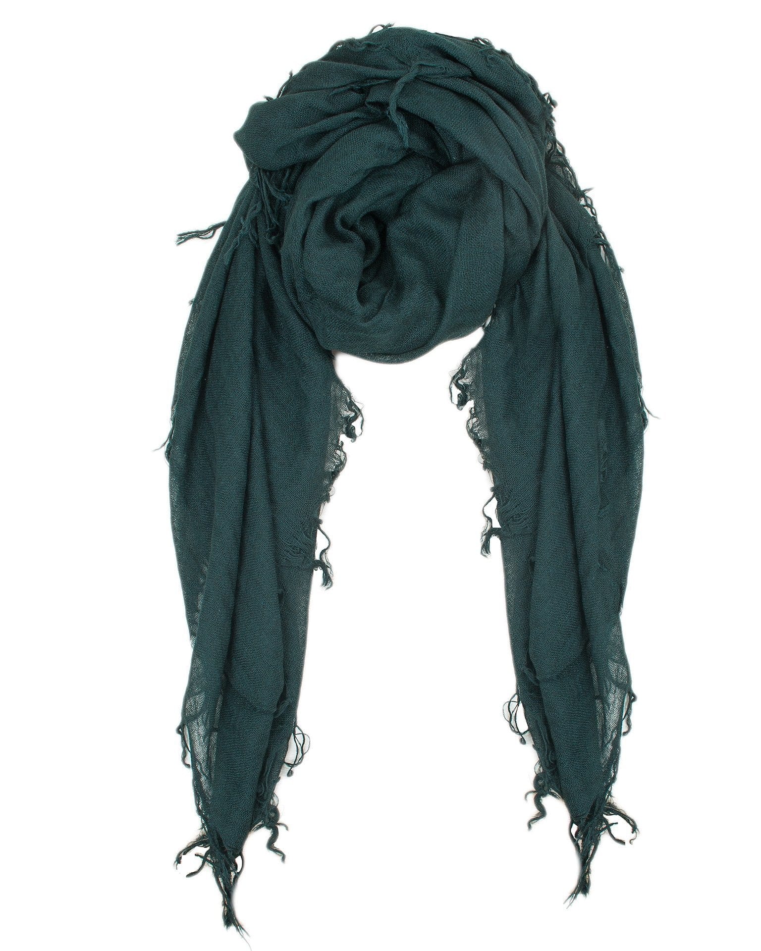 Cashmere & Silk Scarf in Scarab