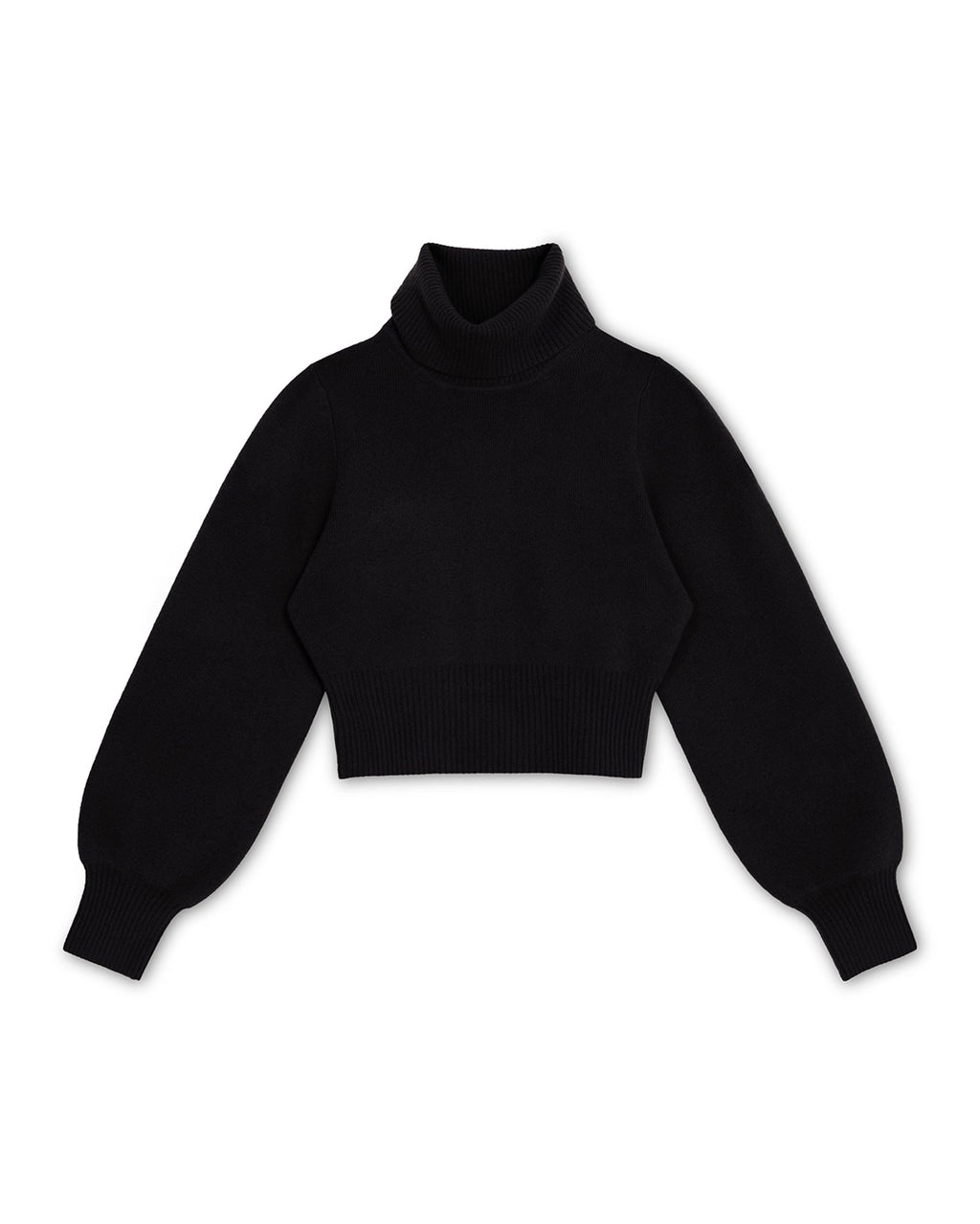 Polly Turtleneck in Black