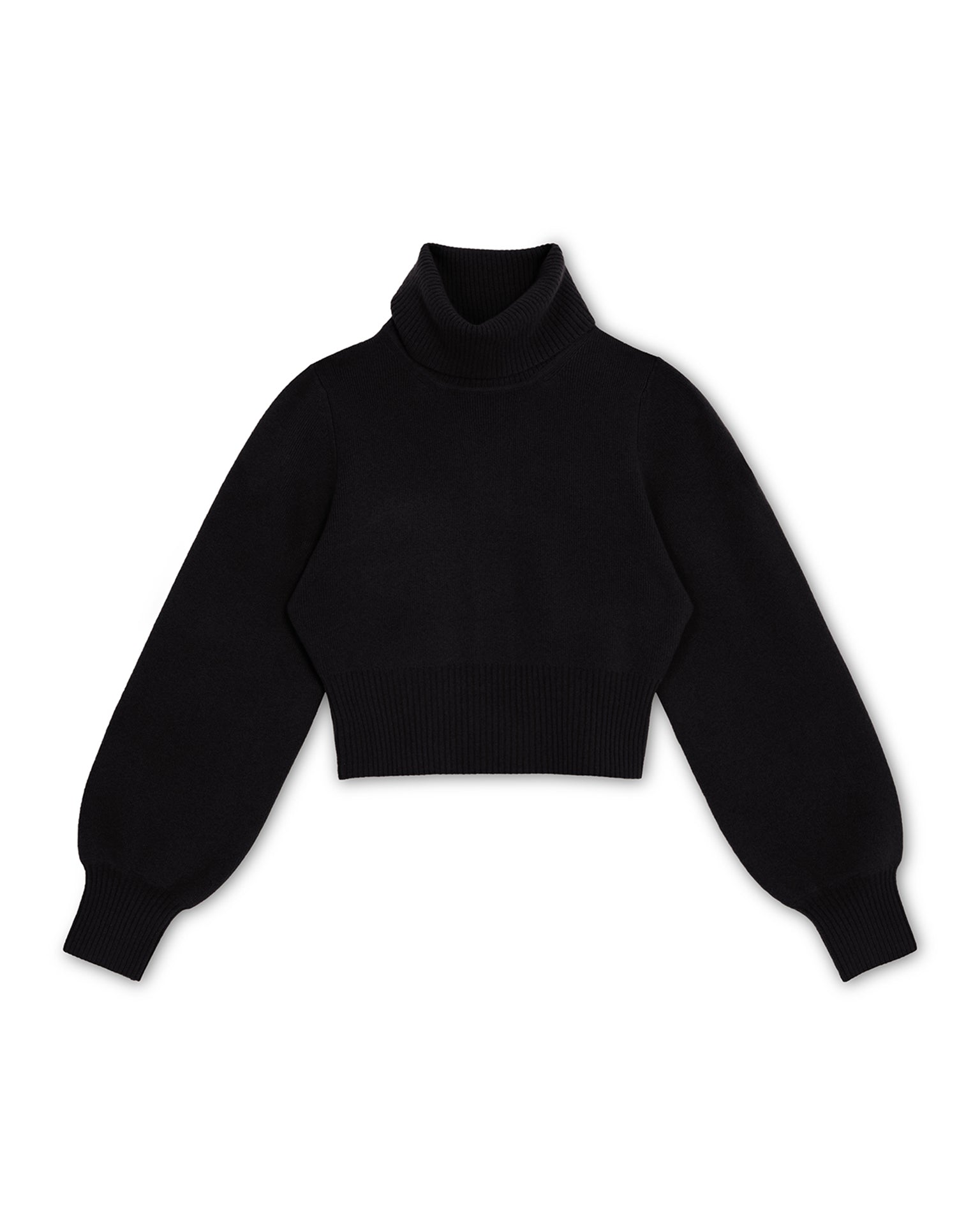 Polly Turtleneck in Black