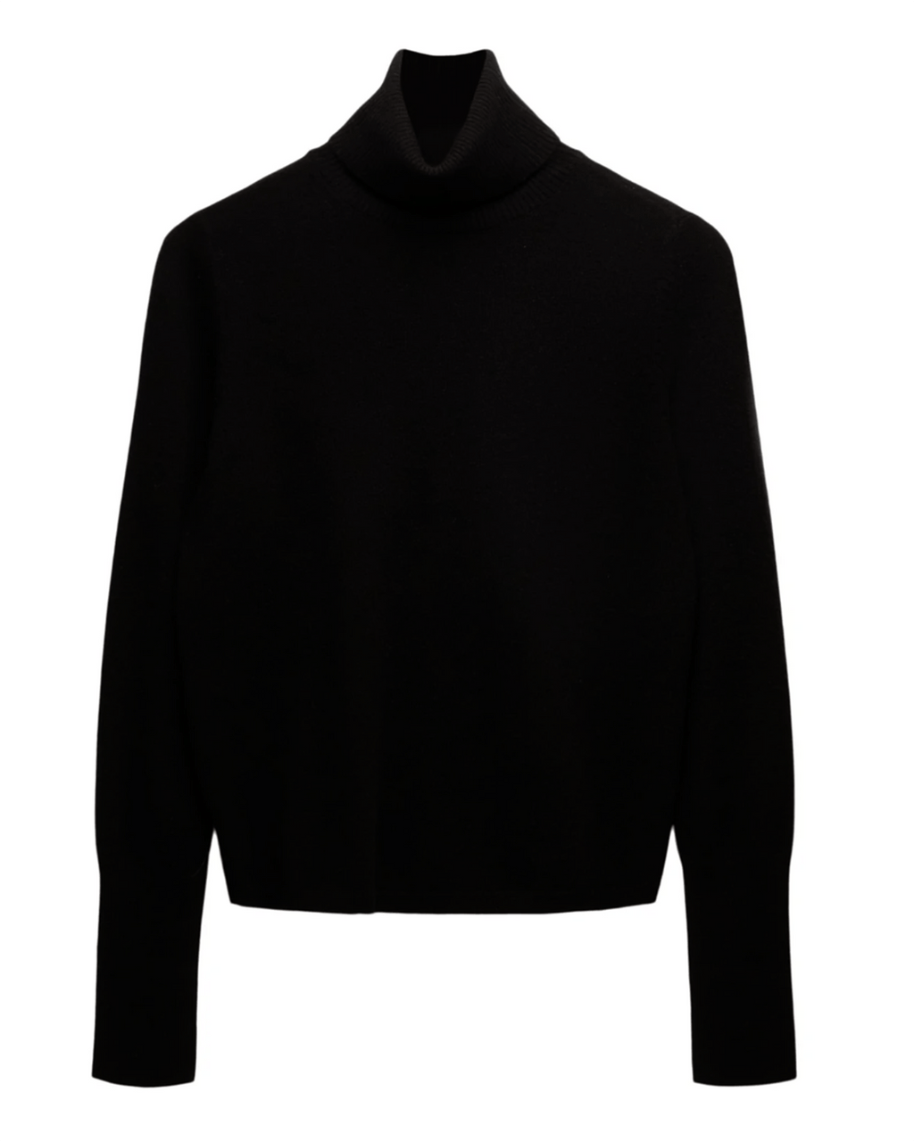 Hayden Turtleneck in Black