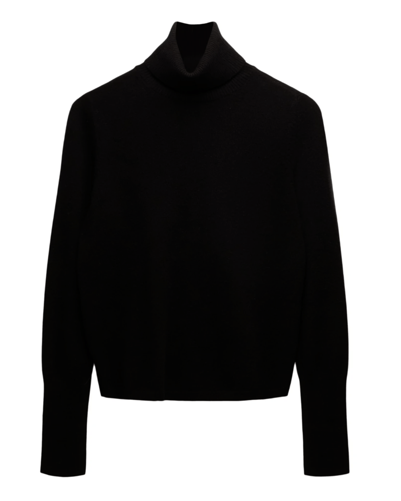 Hayden Turtleneck in Black